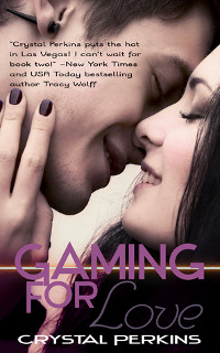Gaming For Love Book Cover